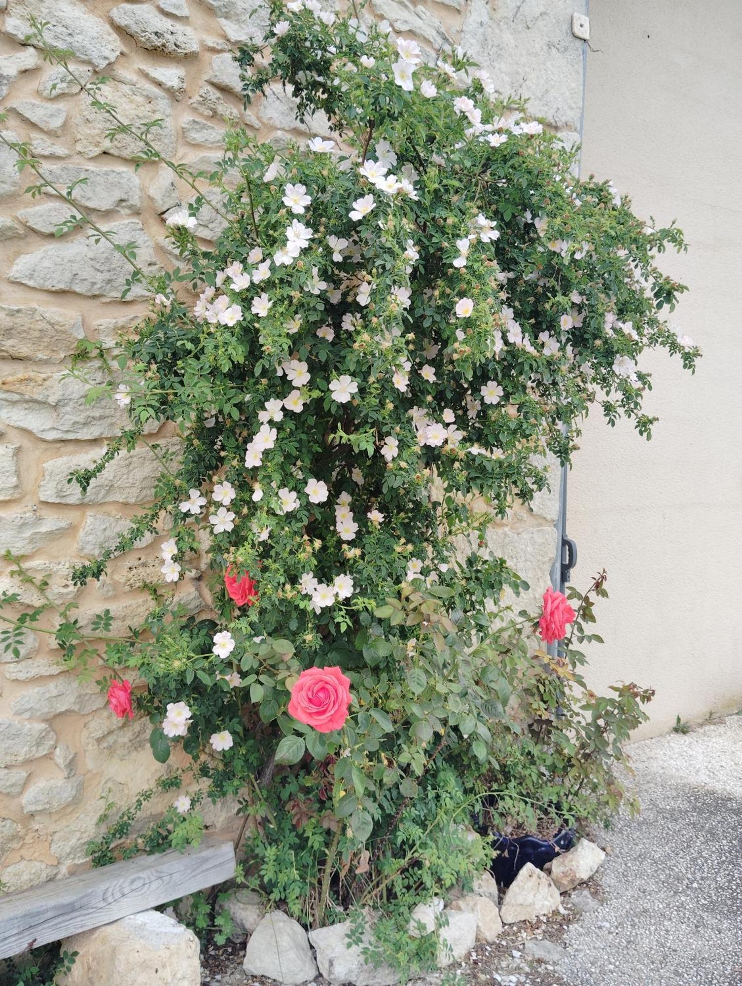 Gite L'Edenwine Doulezon Exterior photo